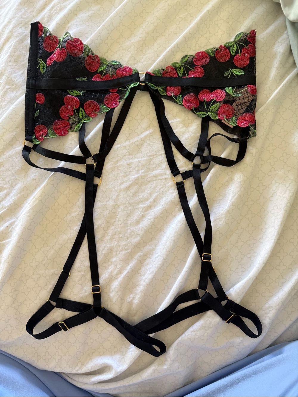 NWT Victoria’s Secret Crotchless Open-Back Panty & Cherry Embroidery Garter Belt